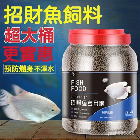 戰船魚吃什麼|【戰船魚吃什麼】戰船魚能喂什麼好 